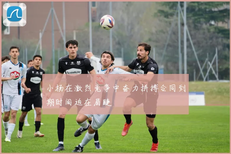 小杨在激烈竞争中奋力拼搏合同到期时间迫在眉睫