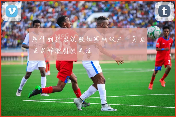 阿什利科尔执教切塞纳仅三个月后正式辞职引发关注