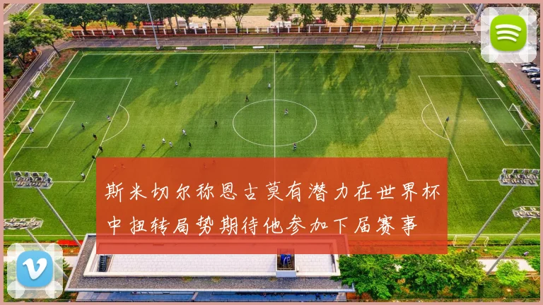 斯米切尔称恩古莫有潜力在世界杯中扭转局势期待他参加下届赛事